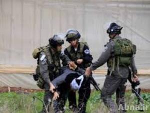 الجيش الإسرائيلي يعتقل 3 فلسطينيين