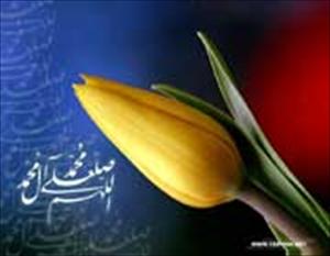 کراچی،شیعہ تنظیموں کیجانب سے عید میلاد النبی (ص) کے جلوسوں کے موقع پر استقبالیہ کیمپس لگائے گئے