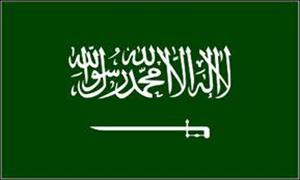 ہر سال کروڑوں ریال دہشتگردی کی بقا پر خرچ