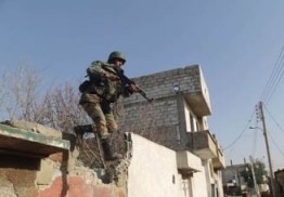 Syrian Army Kills Scores of Terrorists Across Country