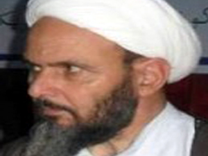 ثابت ہوتا ہے کہ ملک کے اندر ریاست نام کی کوئی چیزنہیں،علامہ شیخ مرزا علی