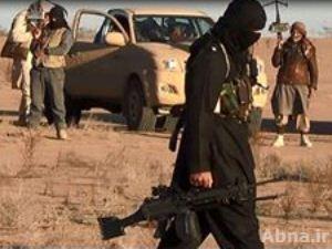 القوات الأمنية العراقية تقتل 13 مسلحا ارهابيا في مدينة الرمادي