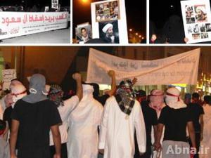 حملة تضامنية مع «آية الله النمر» والتأكيد على استمرار الحراك في مدينة القطيف السعودية