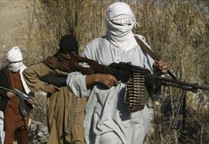 Five Afghan Cricket Players Killed by Suspected Taliban Gunman