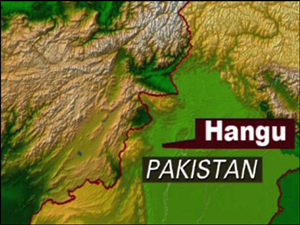 ہنگو میں ہینڈ گرینیڈ کے دھماکے سے 6بچے جاں بحق   	