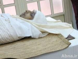"البحرينية لحقوق الإنسان" تصف قتل الشهيد «فاضل عباس» بـ "الجريمة الشنيعة"
