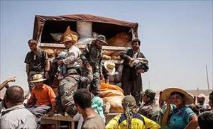 ईराक़ के अलअम्बार प्रदेश में एक लाख चालीस हज़ार लोग बेघर।