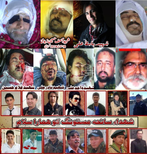 47 Shiites Martyred in Month of Jan 2014 in Pakistan