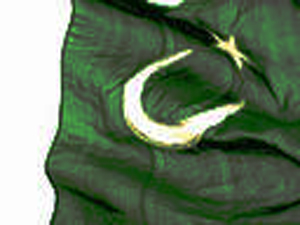 30 ہزارسے زائد پاکستانی گرفتار