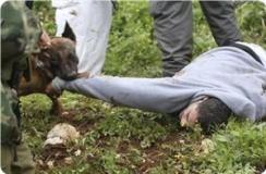Two Palestinian youths seriously wounded after brutal attack by Israeli soldiers