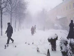 Бакыда гадын донараг өлдү