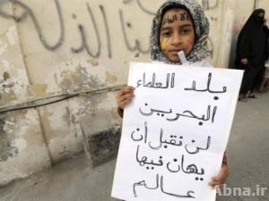 الشيعة مستهدفون في شعائرهم وأعمالهم ومنازلهم، وعلى المقرر الأممي الخاص زيارة البلاد!