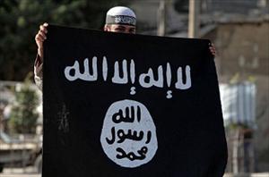 “El plan de siete fases de Al Qaida”