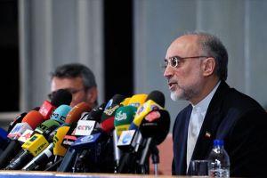 Salehi: Iran spreman za promjene u aktivnostima reaktora teške vode u Araku