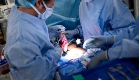 Syria insurgents engaged in organ trafficking