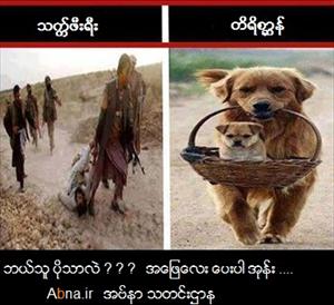 သကၠ္ဖီးရီး မ်ား ႏွင့္ တိရစာၦန္ တို႕ကြားျခားပုံ ျပ  ဓာတ္ပုံ