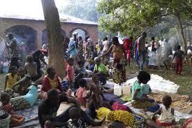 Organization of Islamic Cooperation Slams Violence against Muslims in Central Africa