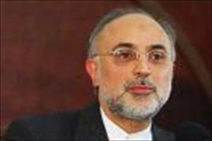 Salehi: Wir besprechen nur handfeste Fragen mit der Atomagentur