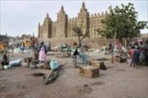 سینٹرل افریقہ میں مسلمانوں پر تشدد کی مذمت