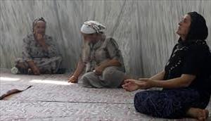 Kabuğunu kıran Alevi sancısı, Esad lehine değişen hava