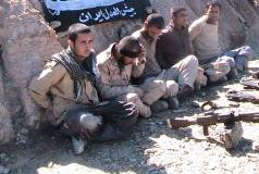 Iran, Pakistan form committee to free abducted guards