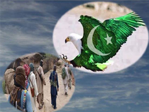 طالبان: پاکستان کے آئين کا ایک جز بھی اسلامی نہیں