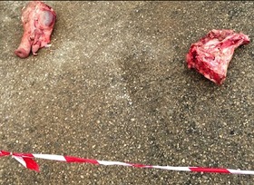 Image / Sunna Mosque Desecrated in France