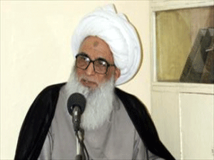 آیت الله بشیر نجفی: ووٹ کا خریدنا اور بیچنا حرام ہے