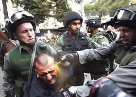 Israeli soldiers force Palestinian farmer out of his land