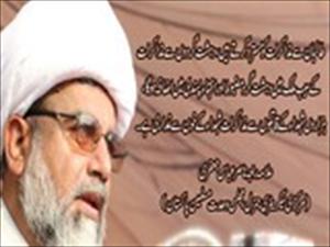 طالبان کیجانب سے جنگ بندی کا اعلان قومی اتفاق رائے کو منتشر کرنیکی سازش ہے، علامہ ناصر عباس جعفری