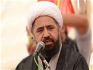پاکستان، طالبان کے خلاف طاقت کے استعمال سے خوفزدہ ، علامہ امین شہیدی
