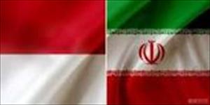 ایران اور انڈونیشیا کے وزراء خارجہ کے مذاکرات