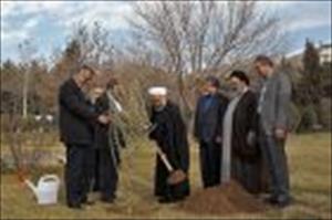 Präsident Rohani pflanzt am Tag des Baumes einen Olivenbaum