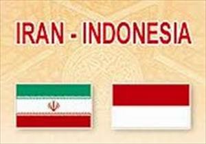 ایران انڈونیشیا کے باہمی تعاون میں توسیع کی ضرورت پر تاکید