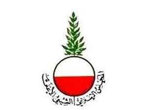 المجلس الشيعي الأعلى في لبنان يلوح بمقاضاة قناة نفت إسلام أبي طالب (ع) ووالد النبي (ص)!