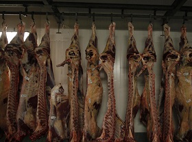 Demand grows for halal food as industry evolves