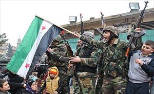 شامی فوج کی کاروائی ميں متعدد دہشت گرد ہلاک
