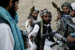 فوج کے حملوں میں آٹھ طالبان ہلاک