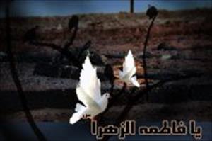 شہزادی کونین(س) کا یوم شہادت