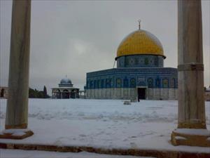 Zionisten stürmen Al Aqsa-Moschee