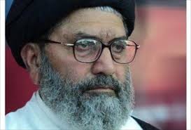 قاتلوں کو سزائیں نہ دی گئیں تو اپنے دفاع کیلئے خود قومی ملی سکیورٹی پالیسی تشکیل دینگے: علامہ ساجد نقوی