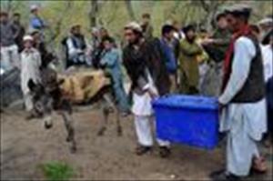 Afghanistan: Die Präsidentschaftswahl hat begonnen