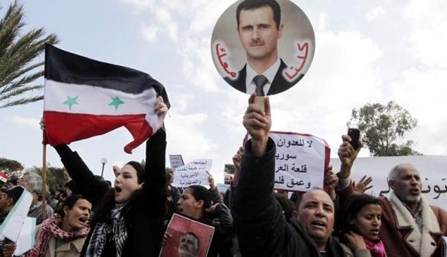  Syrians Hold Pro-Assad Rally in Tunisia 