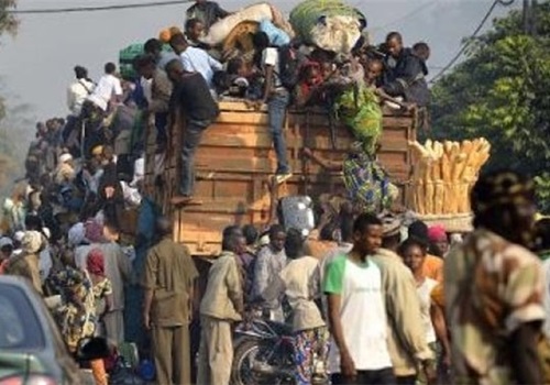 Over 1,000 Muslims Flee CAR amid Fears of Genocide