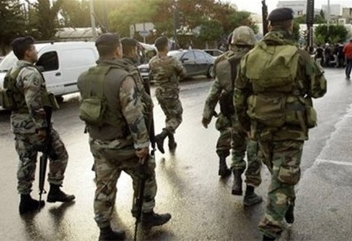 Lebanon: Nine Stolen Cars Seized in Beqaa