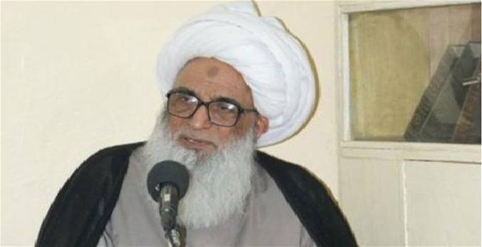  المرجع النجفي يحرم حرق النفايات والصيد الجائر