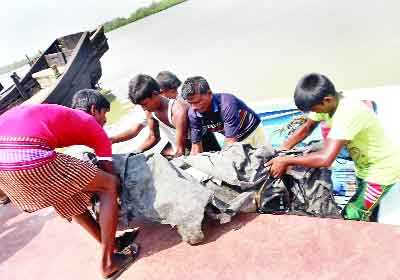 লাশই মিলল ওদের