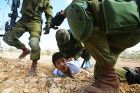 Amnesty international über Gewalttaten Israels besorgt 