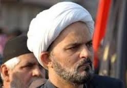 آیت اللہ سیستانی کے نمائندے کی مجلس اعلیٰ اسلامی کے نائب صدر سے ملاقات