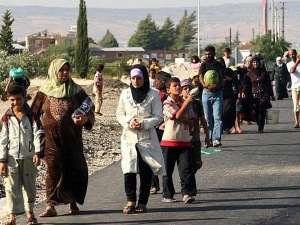 "العفو الدولية" تدين استخدام اليونان للعنف لمنع اللاجئين السوريين من دخول أراضيها